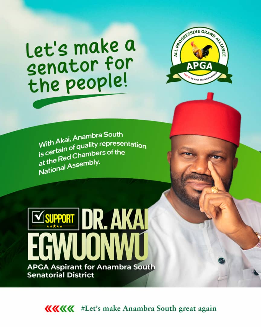 Akai Egwuonwu: A Champion for Anambra South